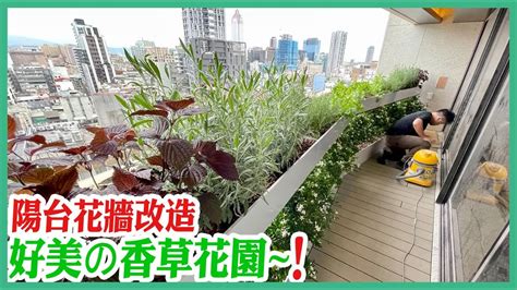 植物陽台|抗風又好養9種陽台大植栽推薦